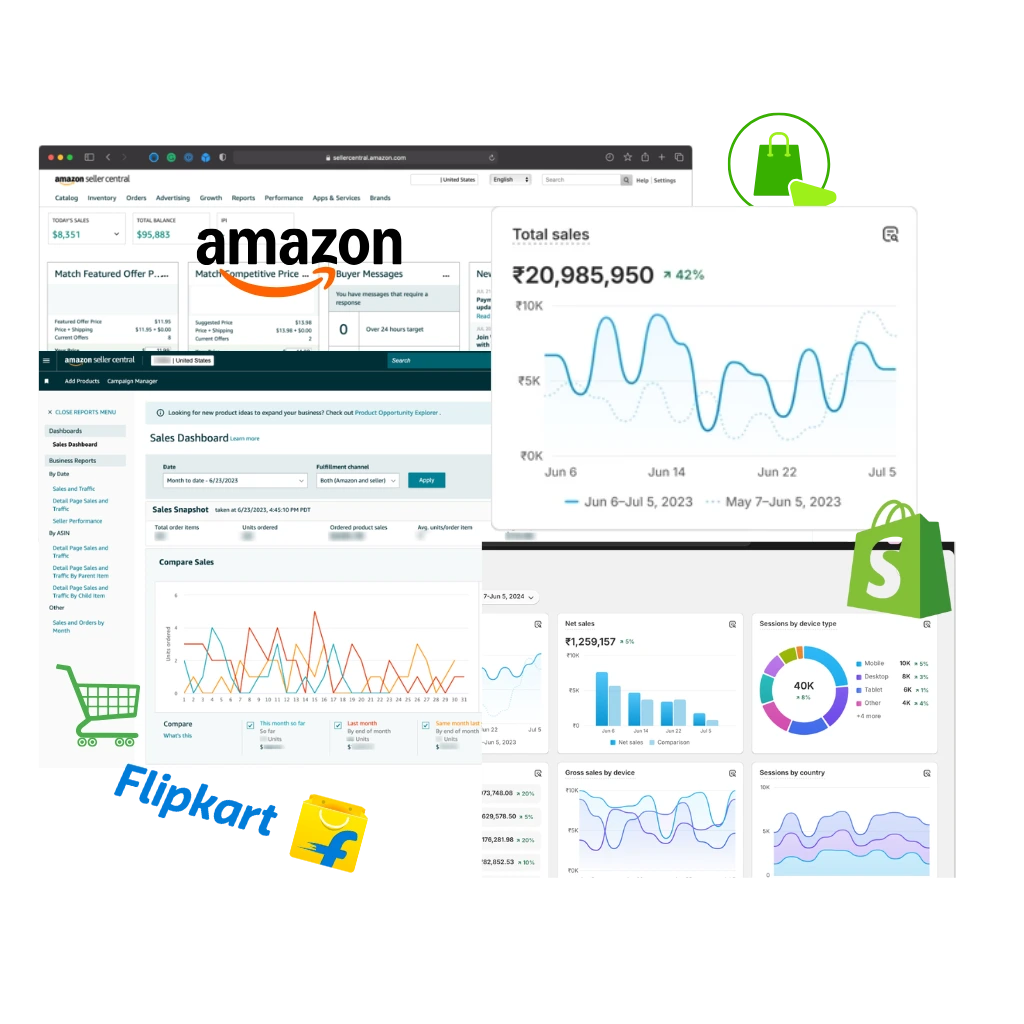 Shopify & Ecommerce Project